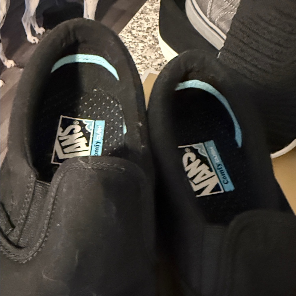 Vans Black Canvas Slip-Ons